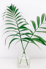 Tropical leaves in glass bottles on white barn wall background, cottage interior decoration