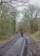 Obraz premium Forest path with rear view of lady in red riding a chestnut horse.