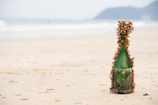 A glass bottle full of barnacle / Pollution in the sea concept