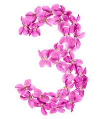 Arabic numeral 3, three, from flowers of viola, isolated on white background