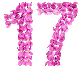 Fototapeta na wymiar Arabic numeral 17, seventeen, from flowers of viola, isolated on white background