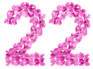 Arabic numeral 22, twenty two, from flowers of viola, isolated on white background
