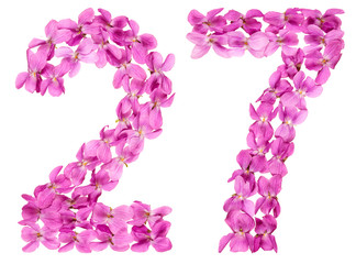 Arabic numeral 27, twenty seven, from flowers of viola, isolated on white background