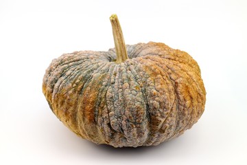 Pumpkin vegetable food