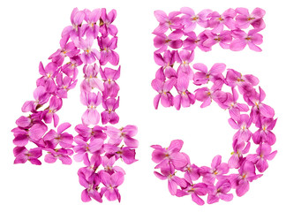 Arabic numeral 45, forty five, from flowers of viola, isolated on white background