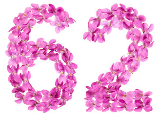 Arabic numeral 62, sixty two, from flowers of viola, isolated on white background