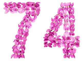 Arabic numeral 74, seventy four, from flowers of viola, isolated on white background