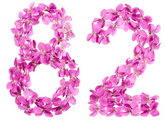 Arabic numeral 82, eighty two, from flowers of viola, isolated on white background