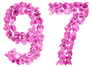 Arabic numeral 97, ninety seven, from flowers of viola, isolated on white background