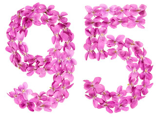 Arabic numeral 95, ninety five, from flowers of viola, isolated on white background