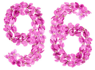 Arabic numeral 96, ninety six, from flowers of viola, isolated on white background