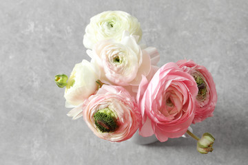 Beautiful ranunculus flowers on light background