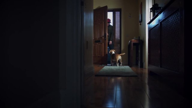 4k Dolly of House Front Door, Dog Waiting for Owner to Come Home