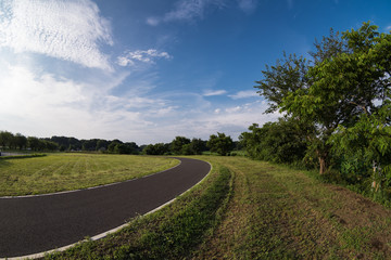 空と緑と道