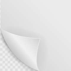 Realistic white curled corner with shadow on transparent background. Vector illustration.