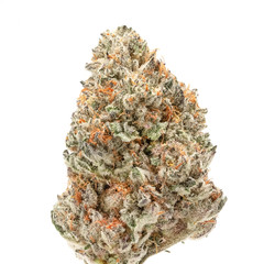 Mochi - Medical Cannabis Weed Bud
