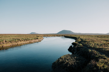 Wetland in Baja California
