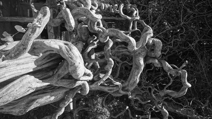 Killing Fields in Phnom Penh, Cambodia