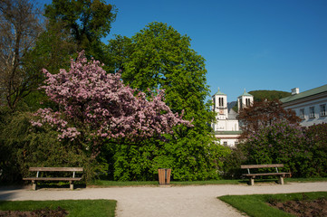 Mirabellgarten, Salzburg, Frühling, Sommer, Blumen