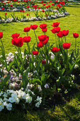 Mirabellgarten, Salzburg, Frühling, Sommer, Blumen