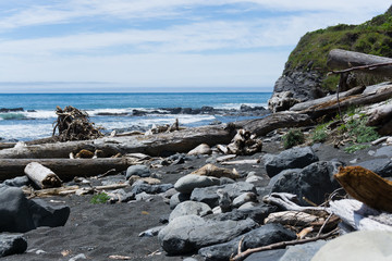 Fototapeta na wymiar Battered driftwood and assorted ocean debris accumulated on the black sands of the Lost Coast backpacking trail in California