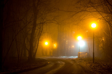 A road in the woodland during a thick fog at night
