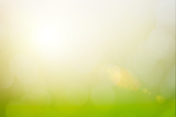 Focus design in happy holiday party and spring blur lights include white wall surface and bokeh or flare bright glow under sun at smooth plain nature background.