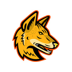 Arabian Wolf Head Mascot