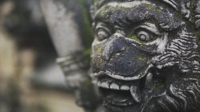 Sculpture in the wild tropical jungle, detailing the weathered surface with white fungus and moss. Lush vegetation and Balinese temple on the background. Slow tracking shot