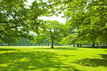 Garden tree