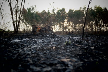 Dont distrust the nature If they start Revenge nothing Will Left