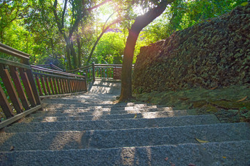 large stone staircase in a beautiful dense forest of rock staircase descends to the park, Asia 