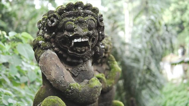 Sculpture in the wild tropical jungle, detailing the weathered surface with white fungus and moss. Lush vegetation and Balinese temple on the background. Slow tracking shot