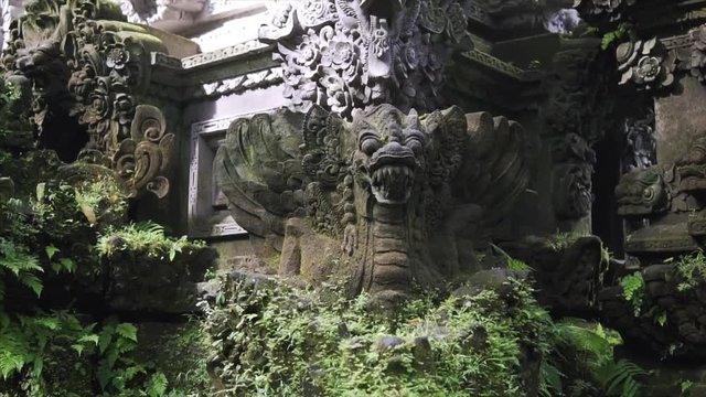 Sculpture in the wild tropical jungle, detailing the weathered surface with white fungus and moss. Lush vegetation and Balinese temple on the background. Slow tracking shot