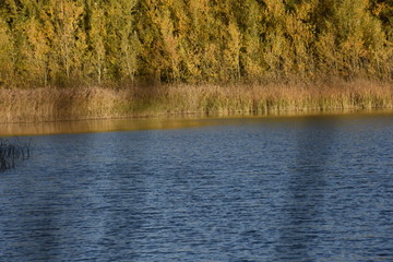 Lago, paisaje, otoñal, otoño, laguna, tranquila, amanecer