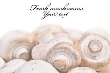 Mushrooms champignon