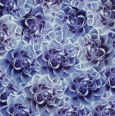 Vintage floral  blue-white beautiful background.  Flower composition. Bouquet of flowers from   blue roses. Close-up. Nature.