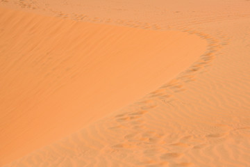 Background texture of sand