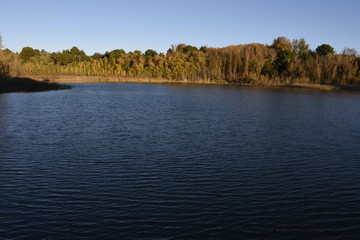 Lago, paisaje, otoñal, otoño, laguna, tranquila, amanecer