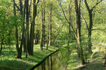 spring park with water channel