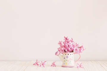 fresh flowers, hyacinth on a white background