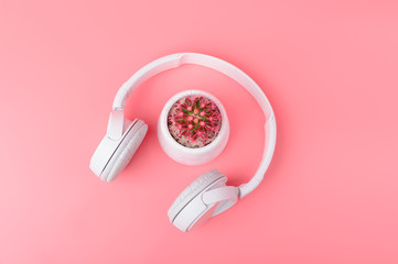 Obraz na płótnie Canvas Pink cactus and White Headphones on Light rose background. Trendy Vanilla Colors. Copy space. Flat lay.