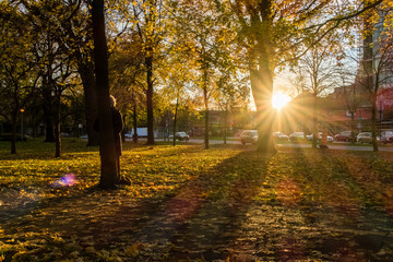 Woman looking at sunset in a parc