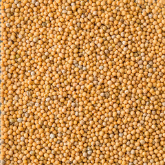 Seeds of white mustard. Can be used as background