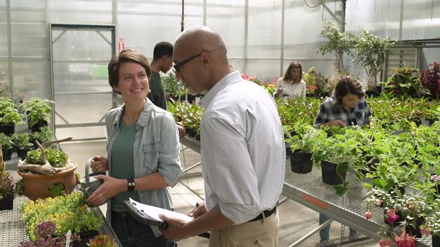Colleagues tending to plants in greenhouse.
