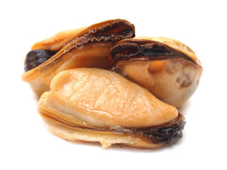  Mussels