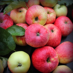 Background with fresh red apples . Top view
