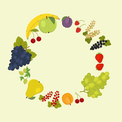 Round frame of fruits and berries. There are grapes, an apple, a pear, a banana, apricot, plum, strawberry, raspberry, cherry, currant, gooseberry in the picture. Vector illustration.