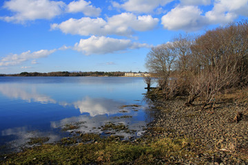 Reflection in irish lake