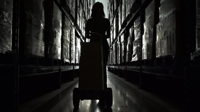 Woman pushing trolley and boxes in aisle of warehouse.